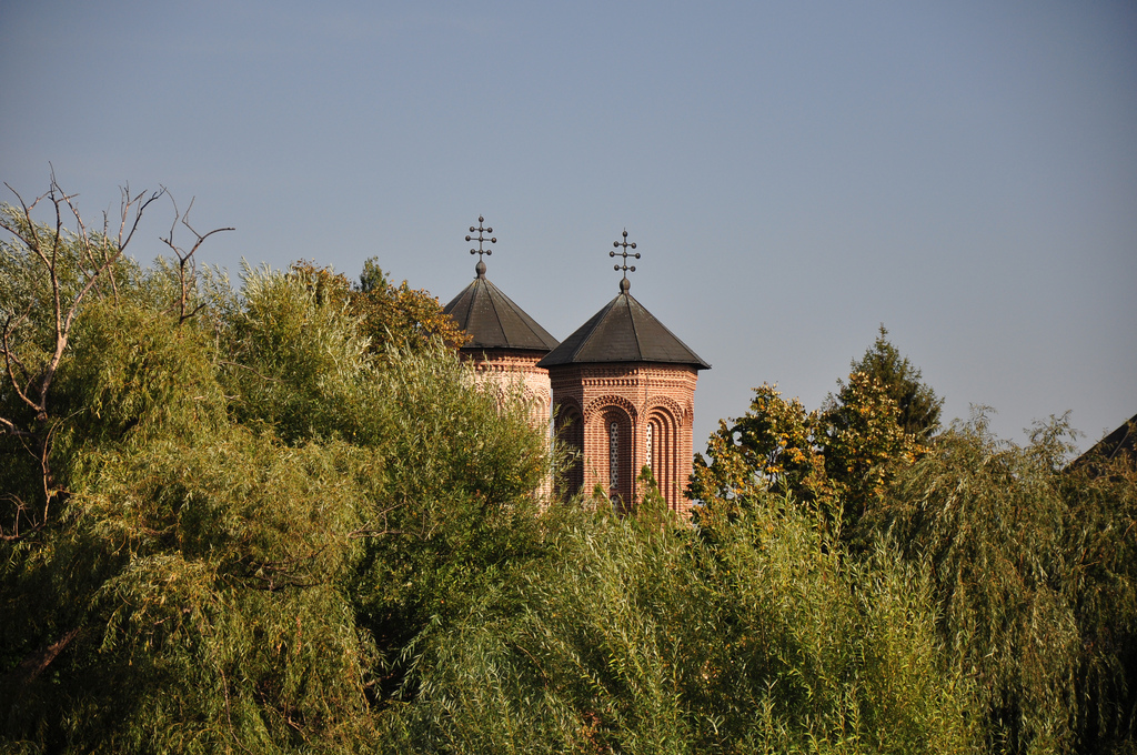 Biserica Snagov